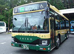 Saiko Sightseeing Bus (Green-Line)