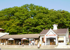 Michi-no-eki Katsuyama（公路服務區）