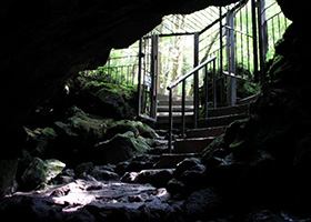 Saiko Bat Cave（天然洞穴）